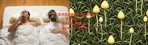прущие грибы Зеленодольск