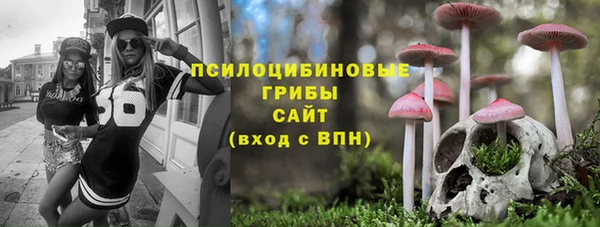 прущие грибы Зеленодольск