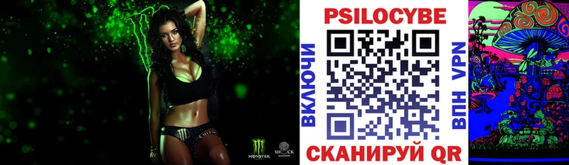 Купить где  Ярославль  Псилоцибиновые грибы Psilocybine cubensis 